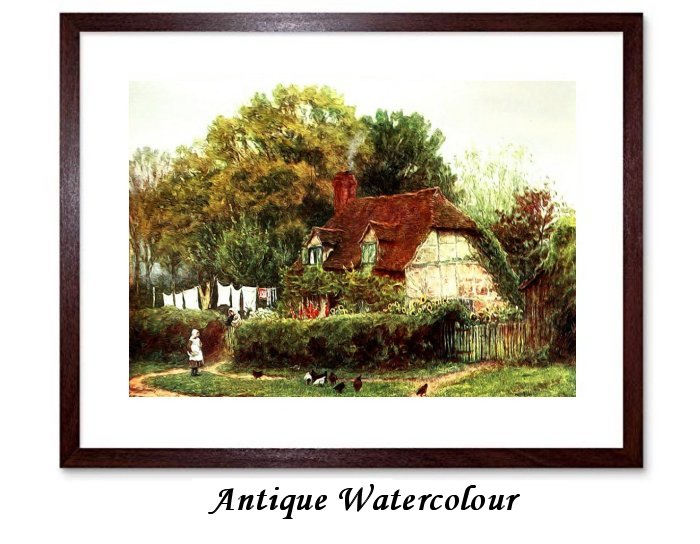 Antique Watercolor Framed Print